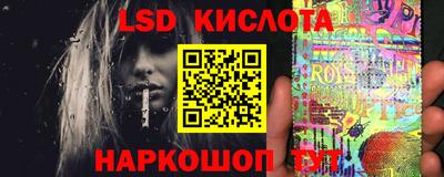 прущие крисы Моздок