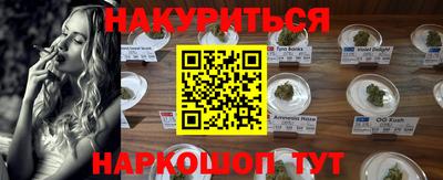 прущие крисы Моздок