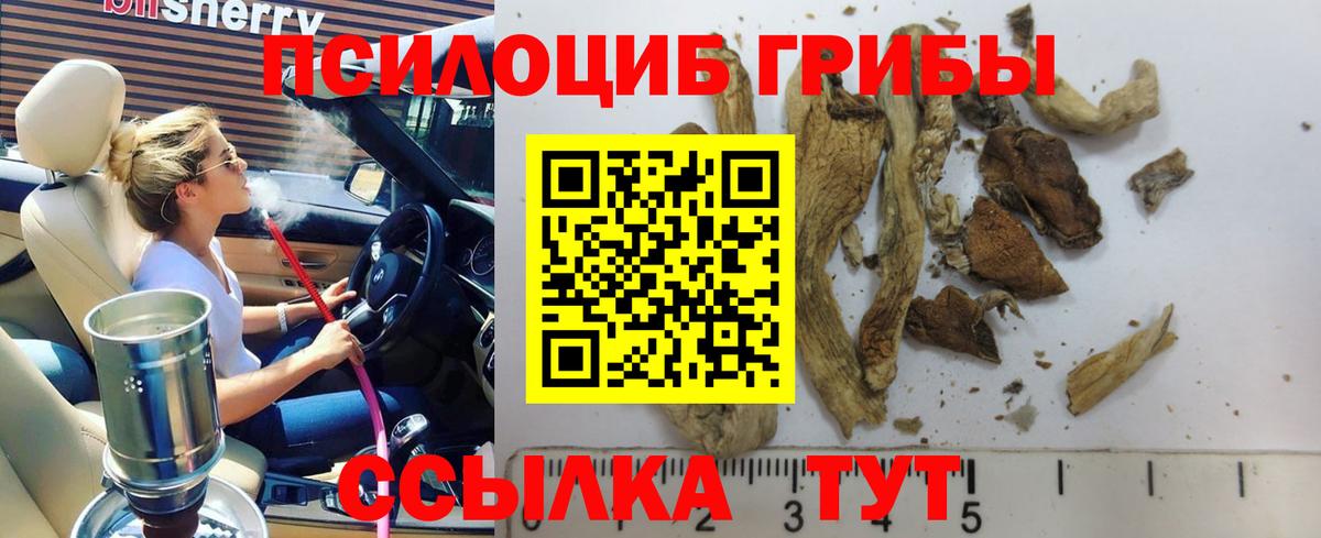  КОКАИН Димитровград