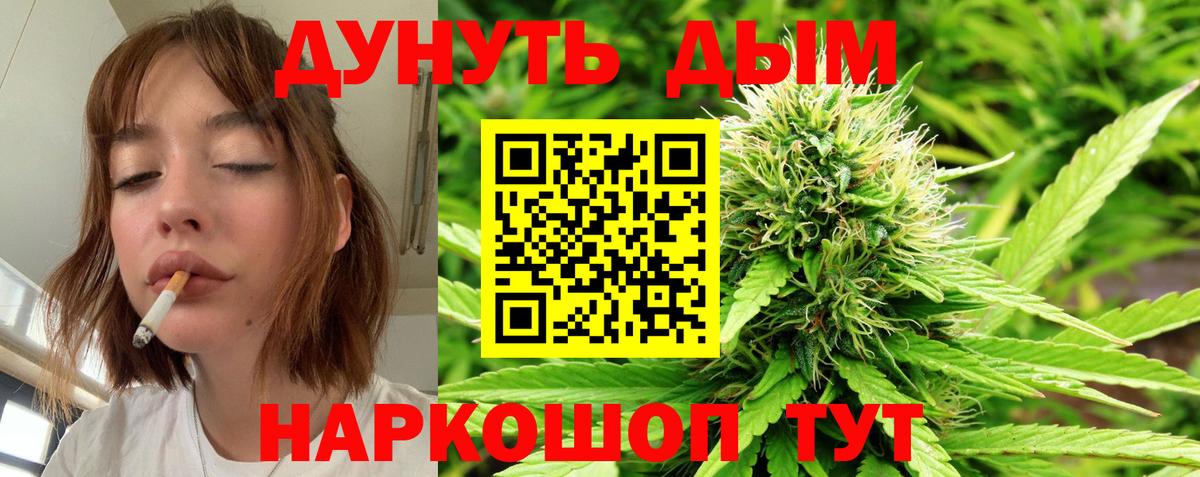 Бошки марихуана план  Вход с VPN  Марихуана тримм  Конопля марихуана  Димитровград 